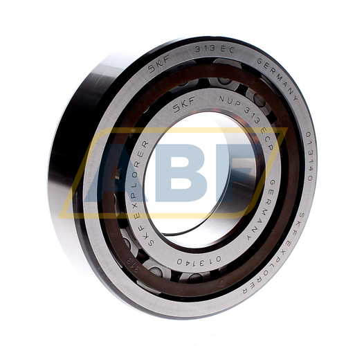 NUP313ECP SKF