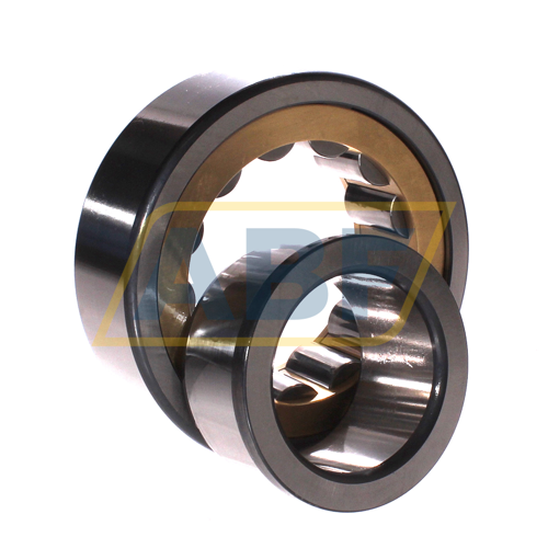 NJ2313-E-XL-M1A-C4 FAG