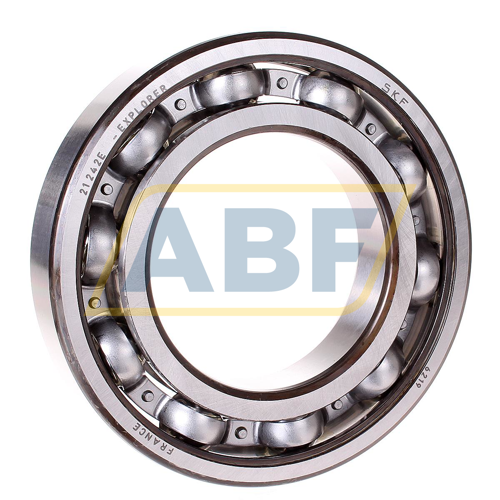 6219 SKF