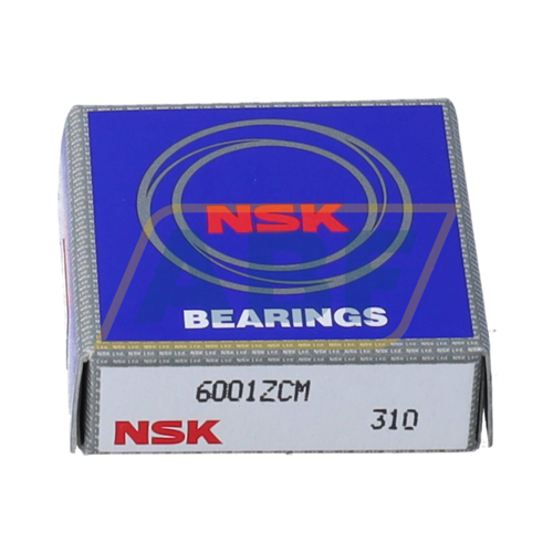 6001ZCM NSK