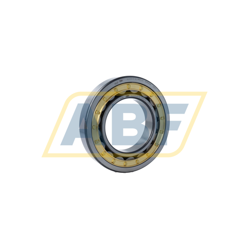 NJ220-E-XL-M1A-C4 FAG