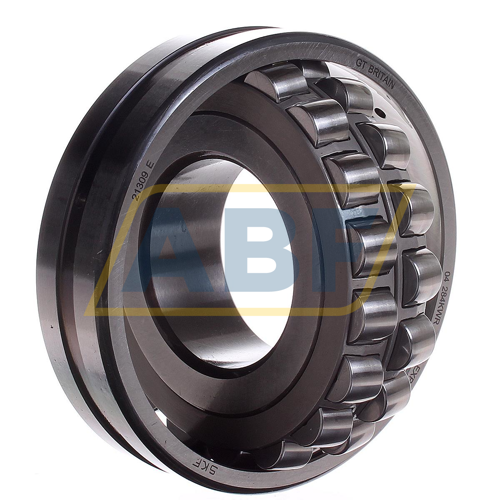 21309E SKF