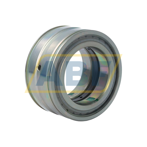 SL045010-PP-RR-C5-L091 INA