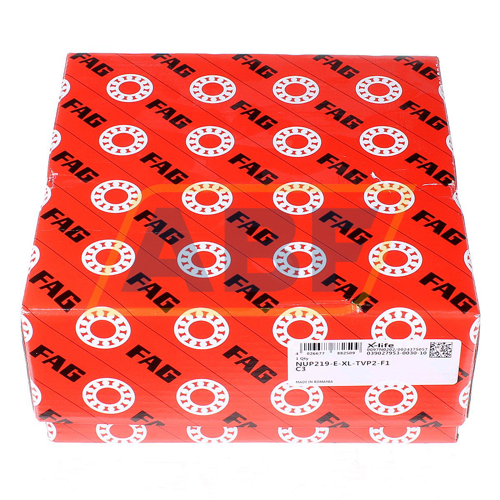 NUP219-E-XL-TVP2-F1-C3 FAG