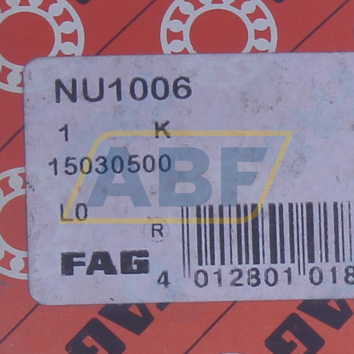 NU1006 FAG