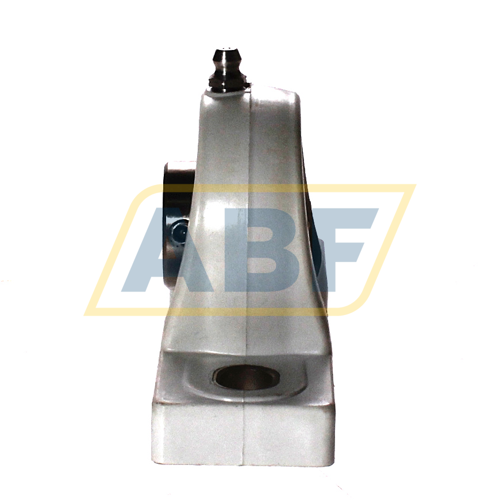 MUCA204 Asahi