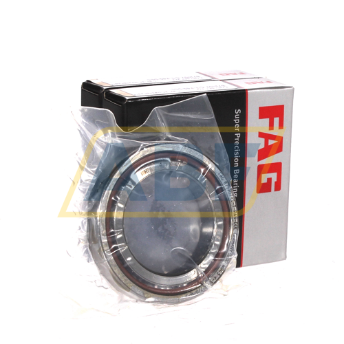 B71907-C-T-P4S-DUL FAG