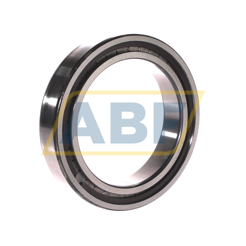 SL182917-B-XL-C3 INA