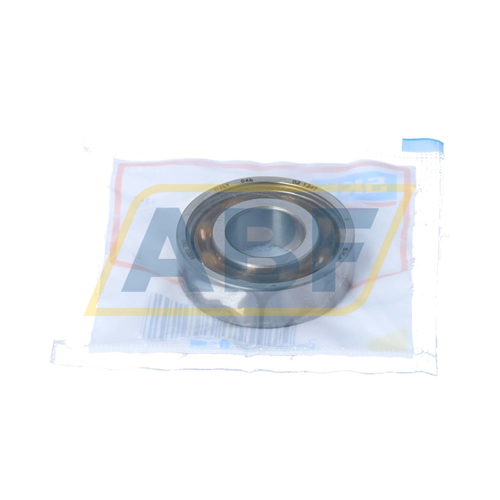 6001TN9 SKF