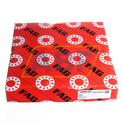 6320-C4 FAG
