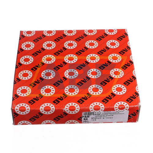 NUP220-E-TVP2-C3 FAG