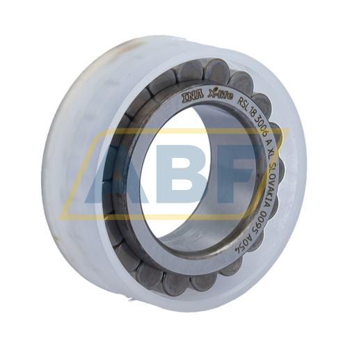 RSL183006-A-XL INA