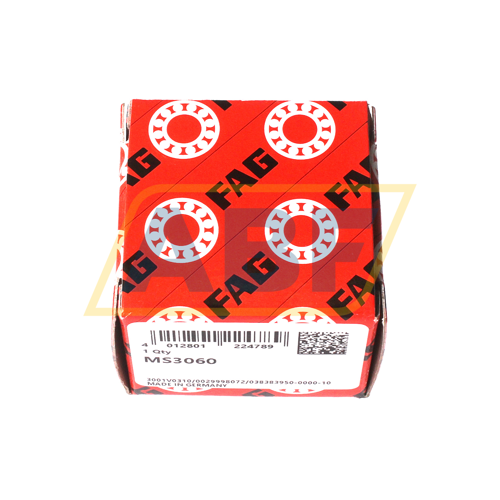 MS3060 FAG