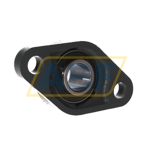 UCFL205D1 NSK