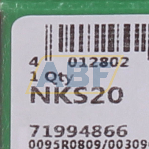 NKS20 INA