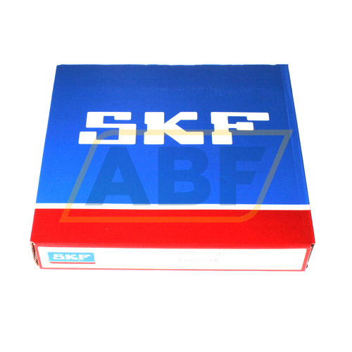 6024-2Z SKF