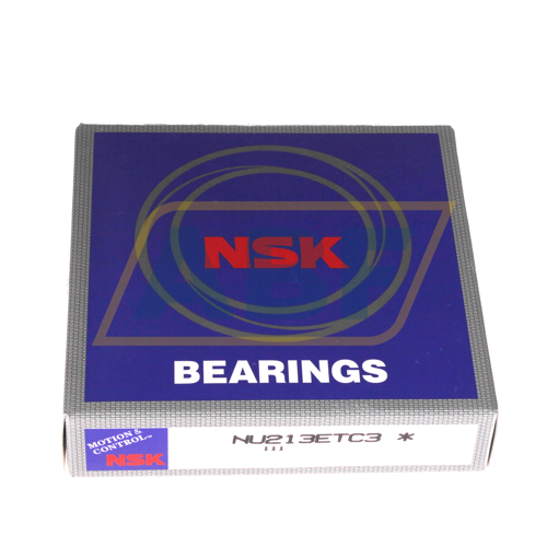 NU213ETC3 NSK