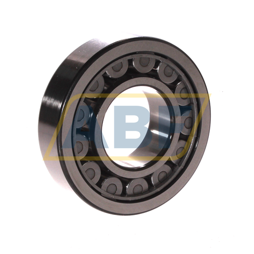 NJ309ECJ SKF