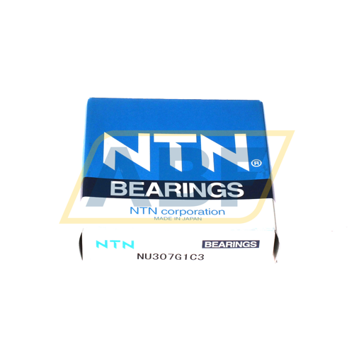 NU307G1 C3 NTN