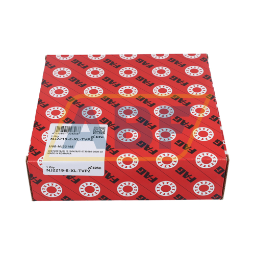 NJ2219-E-XL-TVP2 FAG