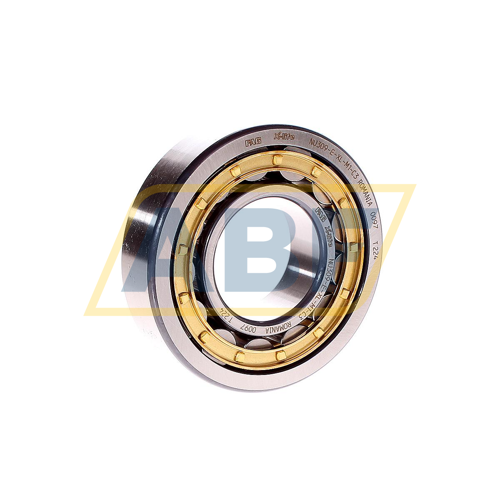 NU309-E-XL-M1-C3 FAG