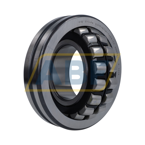 21317-E1-XL-K-TVPB-C3 FAG