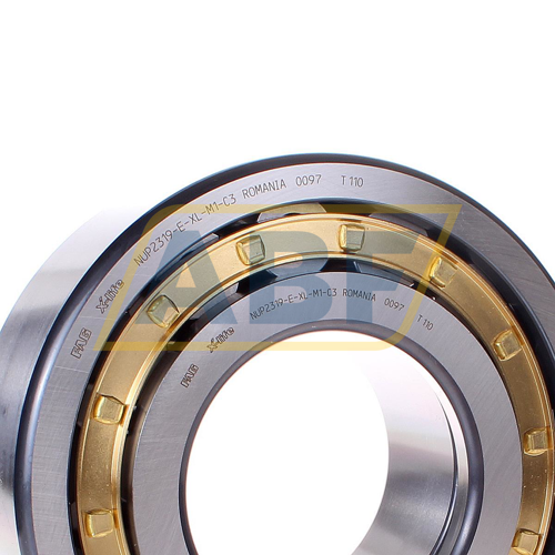 NUP2319-E-XL-M1-C3 FAG