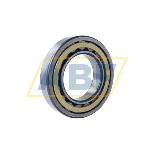 NU219-E-XL-M1-F1-C4 FAG