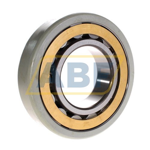 NU319ECM/C3VL0241 SKF