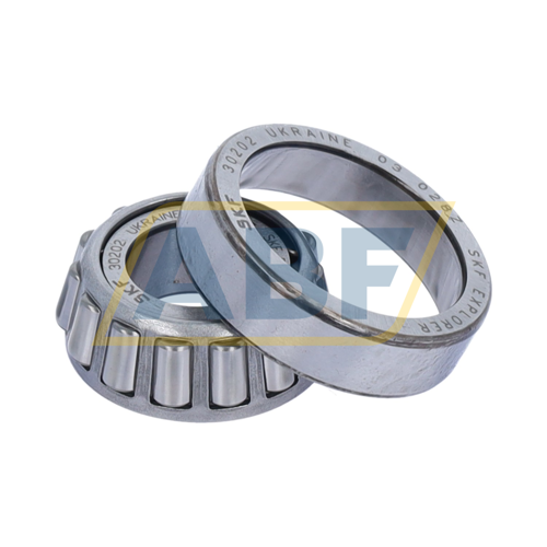 30202 SKF
