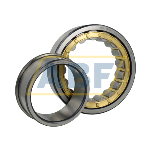 NJ2220-E-XL-M1-C3 FAG