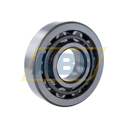 SRV.NU410 SKF