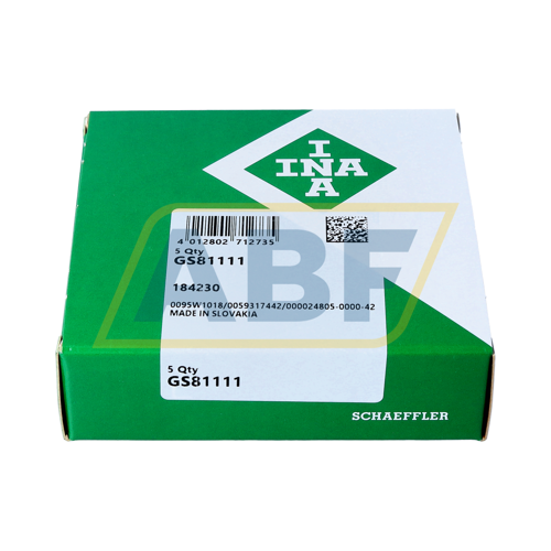 GS81111 INA