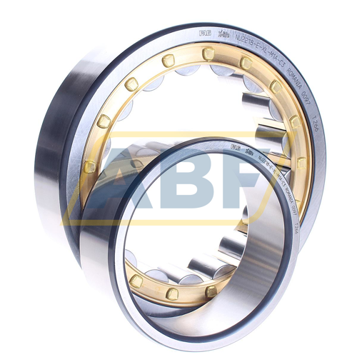 NU2218-E-XL-M1A-C3 FAG