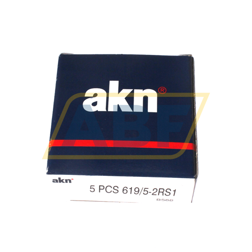 619/5-2RS1 AKN