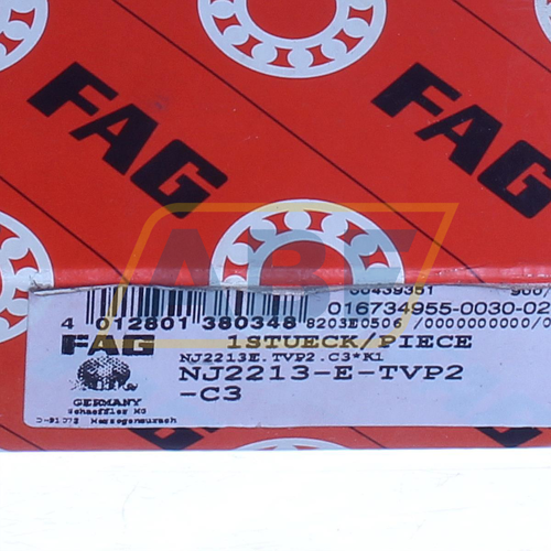NJ2213-E-TVP2-C3 FAG