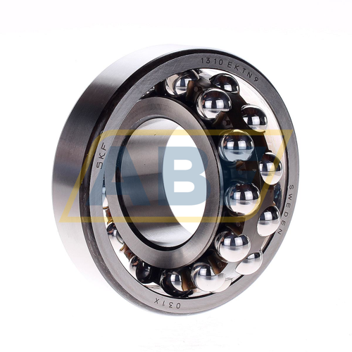 1310EKTN9 SKF