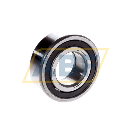 NUP2205ET NSK
