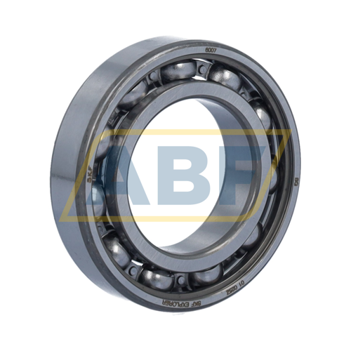 6007 SKF