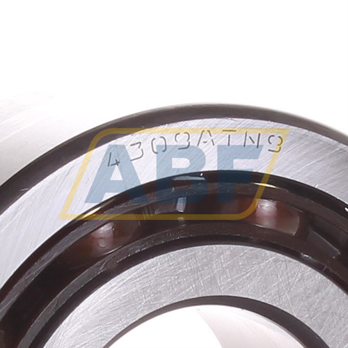 4309ATN9 SKF