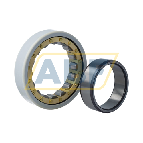 NU210-E-XL-M1-F1-J20AA-R65-80NA FAG