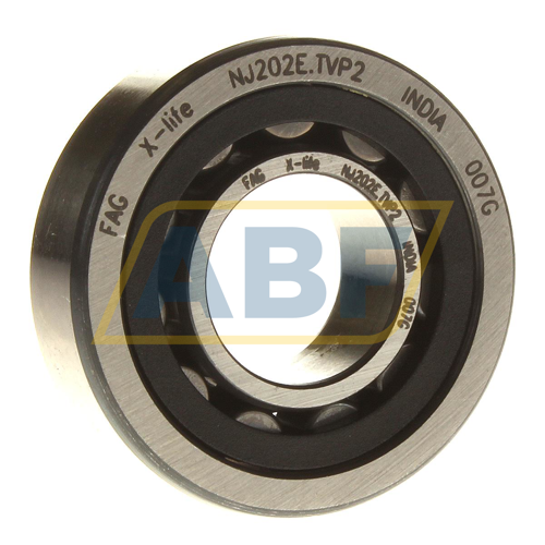 NJ202E.TVP2 FAG