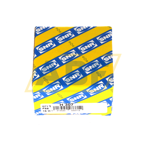 H307 SNR