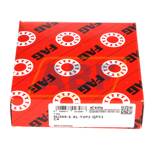 NJ309-E-XL-TVP2-QP51-C4 FAG