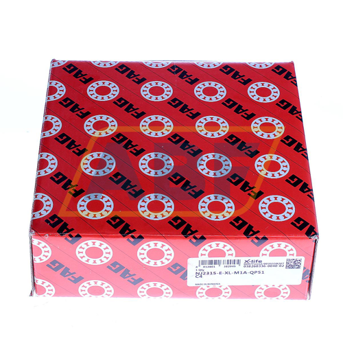 NJ2315-E-XL-M1A-QP51 FAG