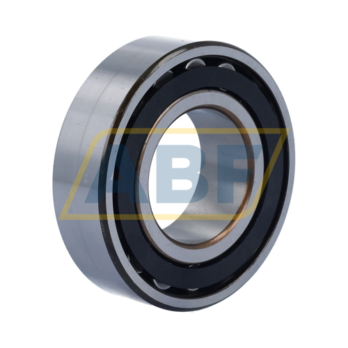 C2208TN9 SKF