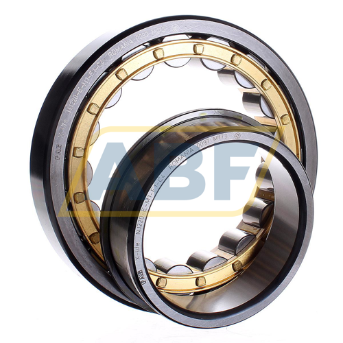 NJ220-E-M1-F1-C4 FAG