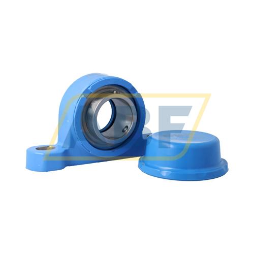 P2BC50M-CPSS-DFH SKF