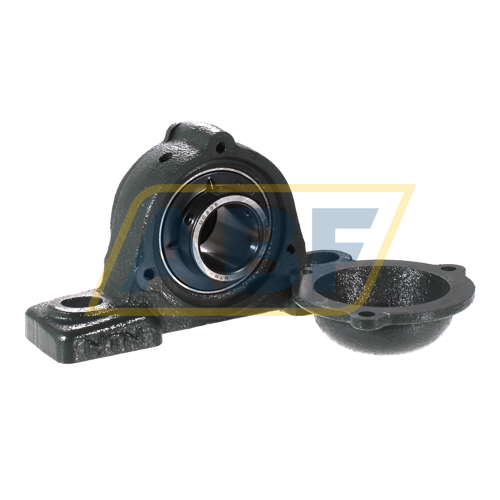 CM-UCP205D1 NTN