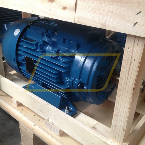 18.5K32AL2160M/L2B3 WEG